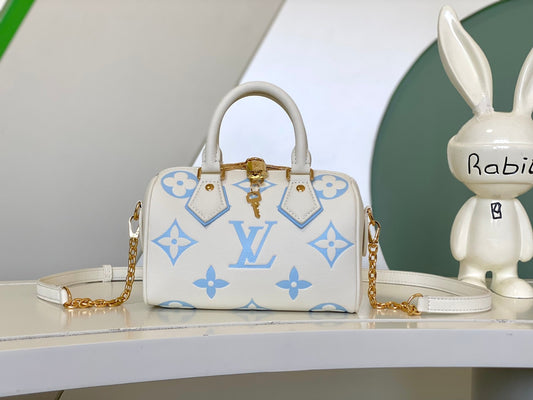 Bolsa Louis Vuitton Speedy