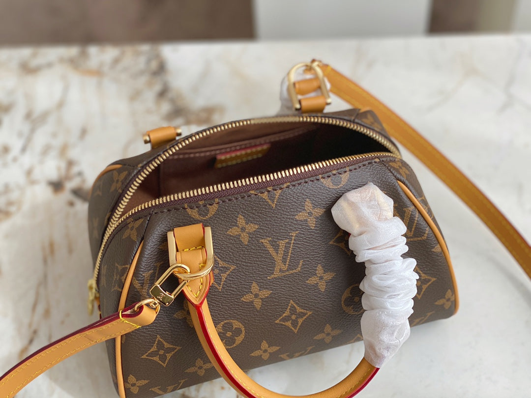 Bolsa Louis Vuitton