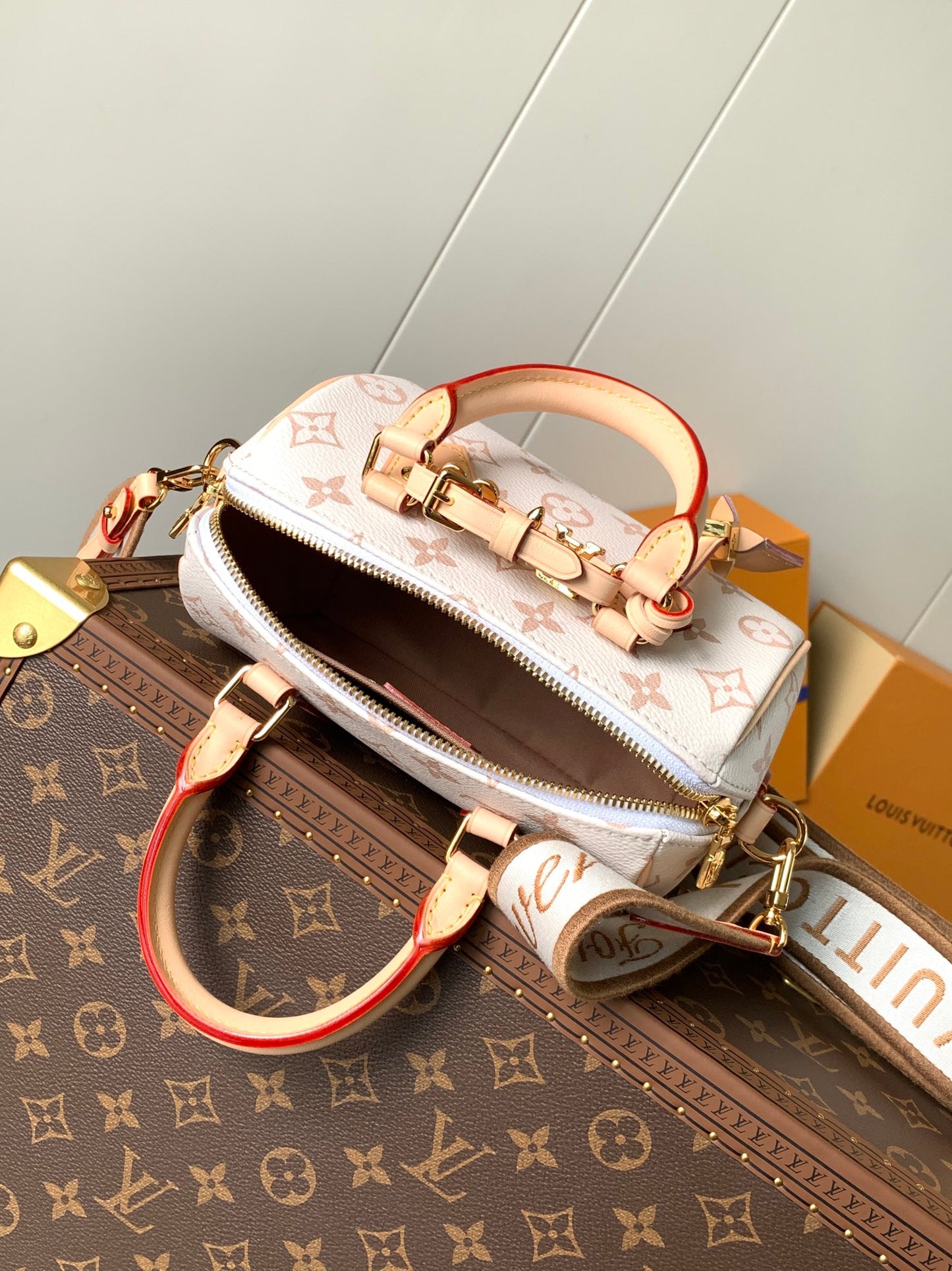 Bolsa Louis Vuitton Speedy