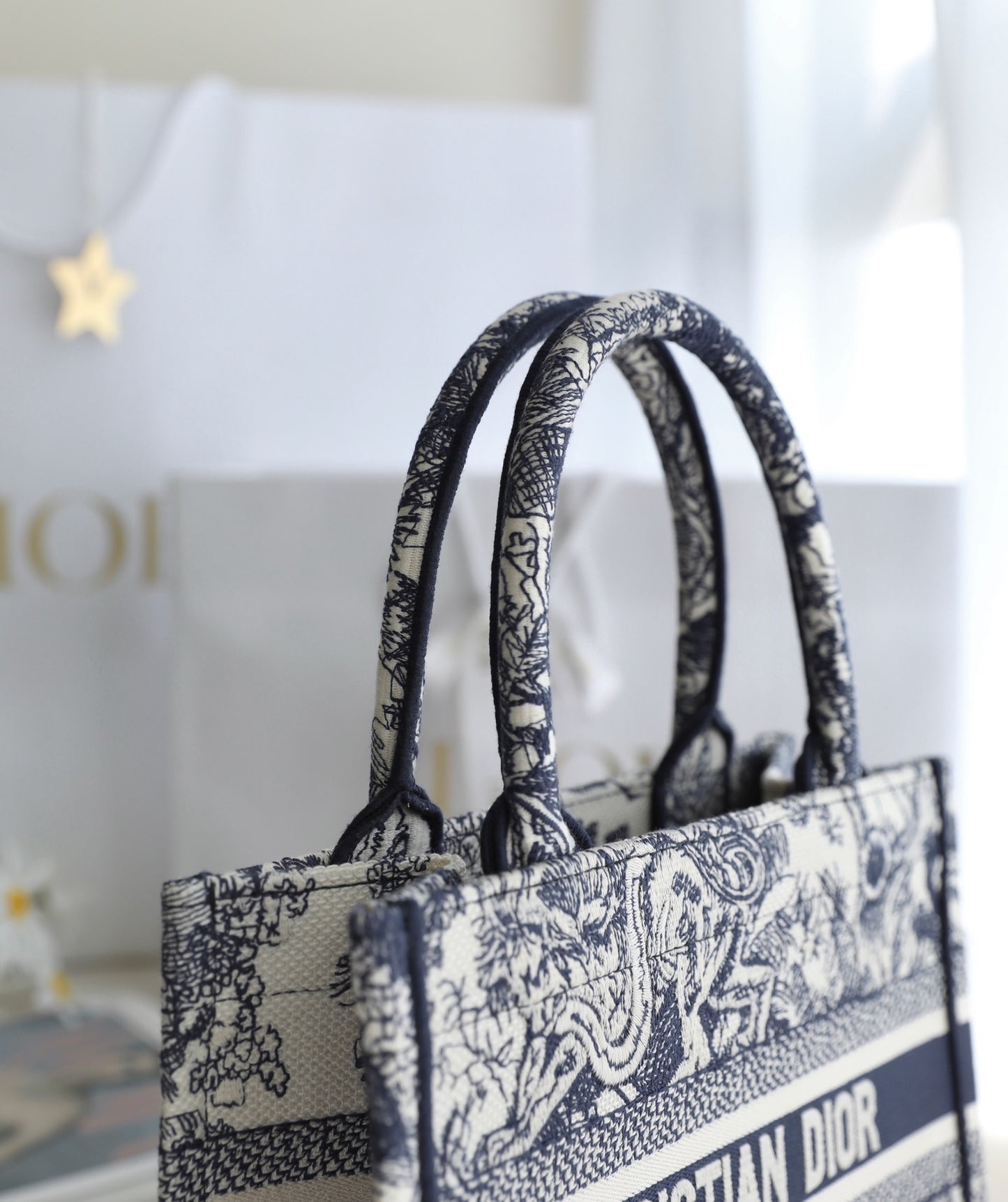 Bolsa Dior Tote