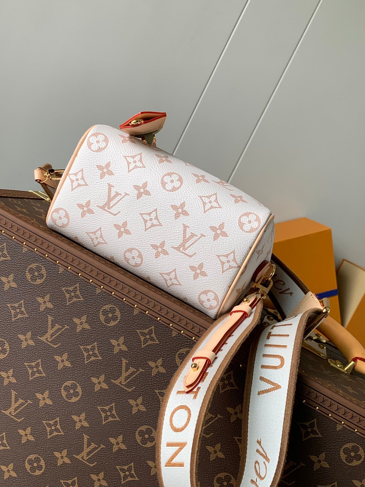 Bolsa Louis Vuitton Speedy