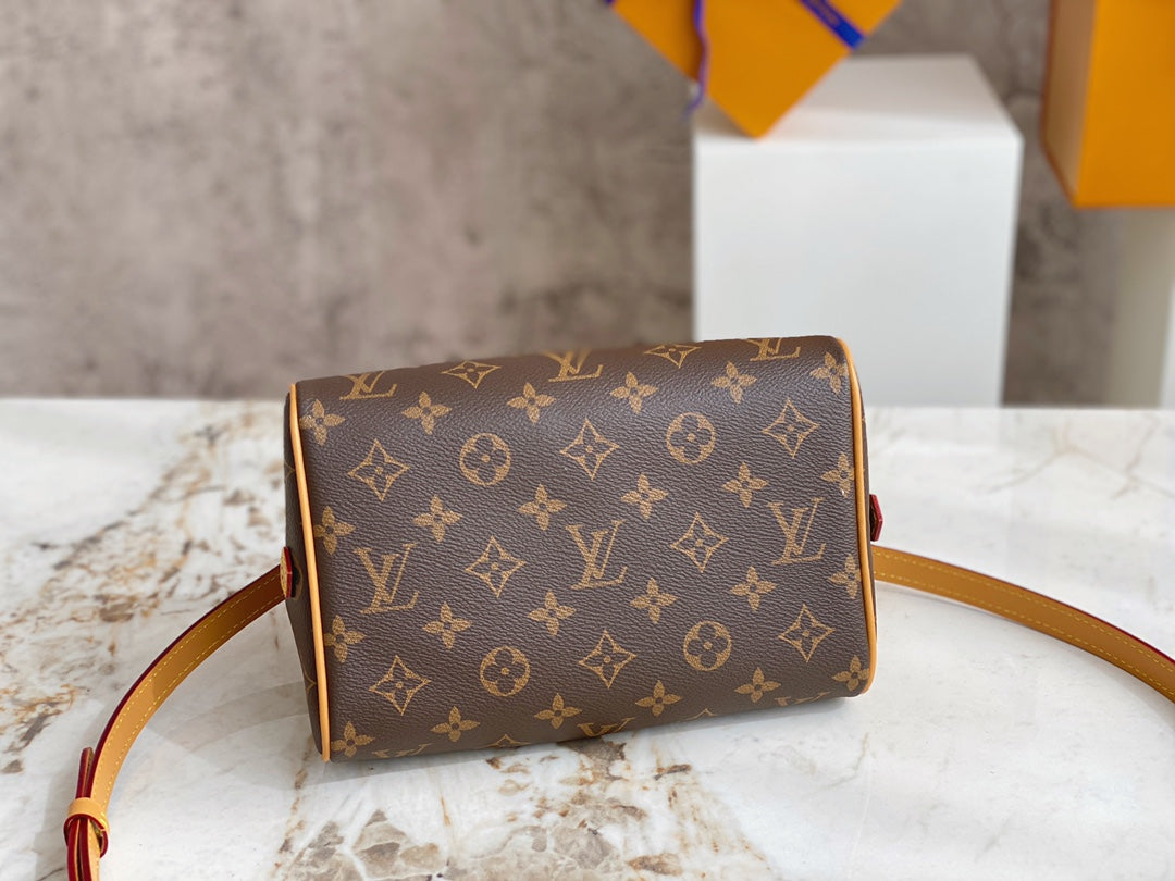 Bolsa Louis Vuitton