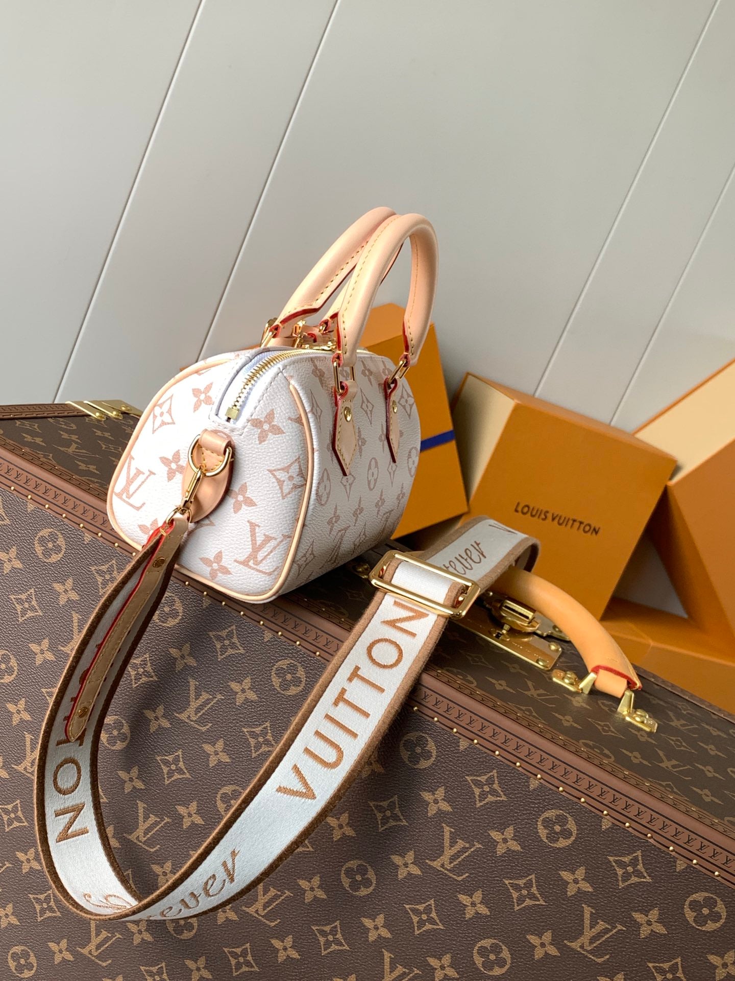 Bolsa Louis Vuitton Speedy