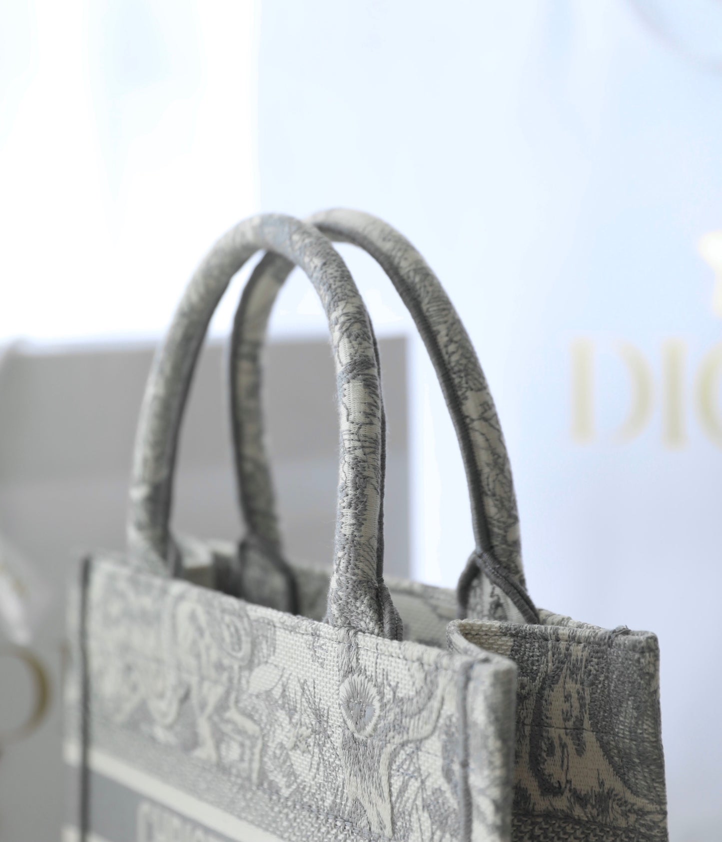 Bolsa Dior Tote