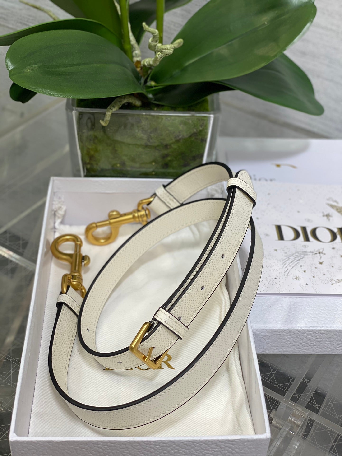 Bolsa Dior Saddle