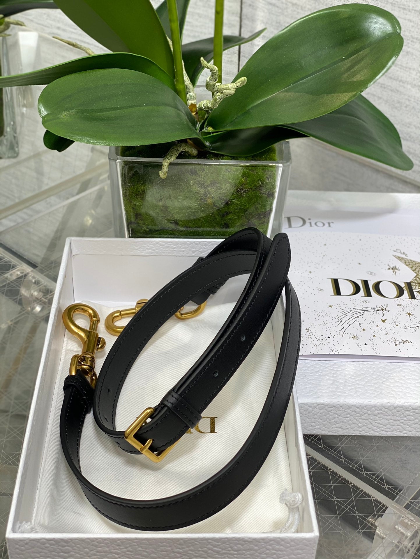 Bolsa Dior Saddle